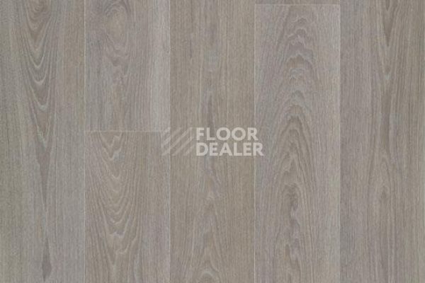 Линолеум FORBO Eternal Wood 13952 greywashed timber фото 1 | FLOORDEALER
